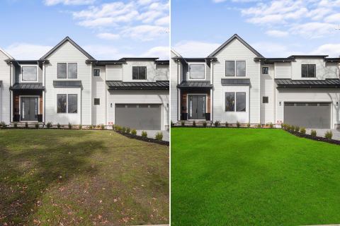 Lawn Replacement